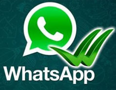 WhatsApp crosses 800 million active users
