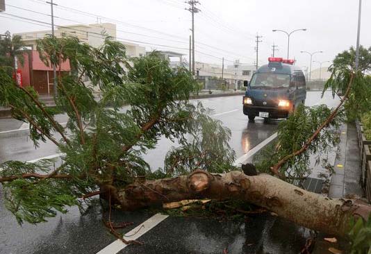 Armed with torrential rains and powerful gusts, Typhoon Goni has pummeled Japanese mainland, throwing normal life out of gear as rail and flight services were affected badly. Streets were flooded, buildings damaged and cars could be seen tossed away as the fierce storm made its way into Japan. Japan Meteorological Agency has warned the residents against violent winds and floods as the strong typhoon packing gusts with speed upto 198 kilometres per hour, lashed Japan's southernmost main island of Kyushu