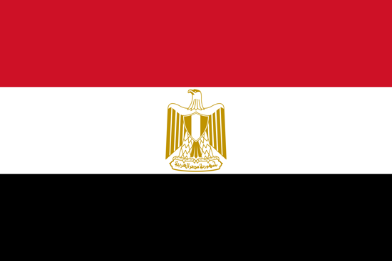 Egypt will hold a long-awaited parliamentary election, starting on October 18-19, the final step in a process to bring back democracy that critics say has been tainted by widespread repression.Egypt has been without a parliament since June 2012 when a court dissolved the democratically elected main chamber, dominated by the now-banned Muslim Brotherhood, reversing a major accomplishment of the 2011 uprising that toppled autocrat Hosni Mubarak.