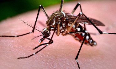 India prepares for Zika virus