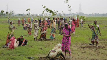 India planted nearly 50 million trees in 24 hours on July 11, 2016 creating a new Guinness World Record