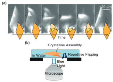 Molecular flip in crystals