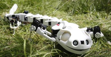 Robot mimics vertebrate motion