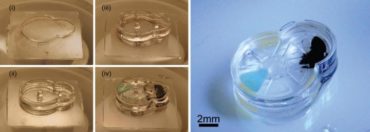 Intricate micro-devices that can be safely implanted