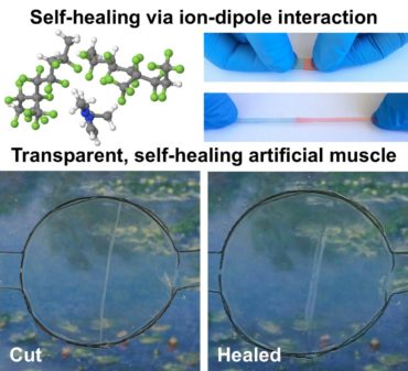 A transparent & self-healing  material