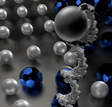 Walking DNA nanorobot