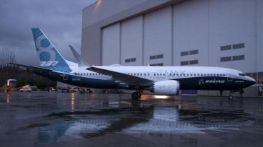 All Boeing 737 Max 8 planes in India grounded