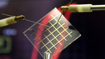 Scientists develop nylon to build transparent electronic devices