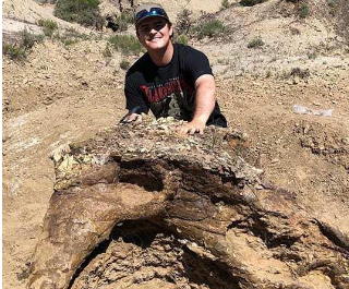 College student discovers 65 million-year-old Triceratops skull in US