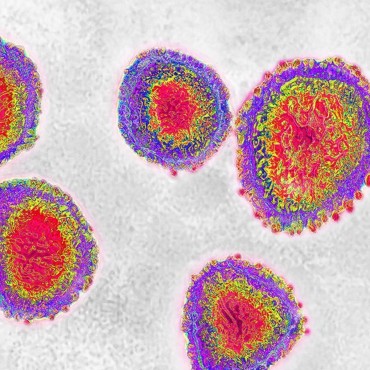 World Health Organization declares coronavirus outbreak a pandemic
