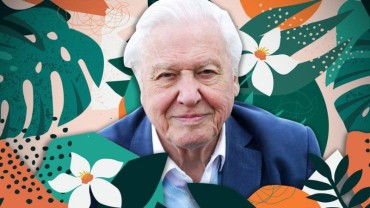 David Attenborough wins lifetime achievement award