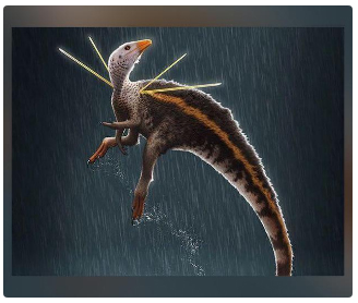 Dinosaur fossil found in Brazil