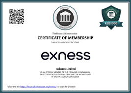 Exness Withdrawal Process A Comprehensive Guide