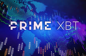 Exploring PrimeXBT MT4 A Comprehensive Guide for Traders