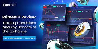 PrimeXBT Forex Unleashing Potential in Trading