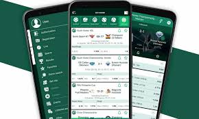 Comprehensive Review of BetWinner Casino and Sportsbook -817116214