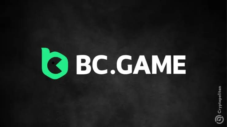 Understanding Payment Methods at BC.Game A Comprehensive Guide Understanding Payment Methods at BC.Game A Comprehensive Guide